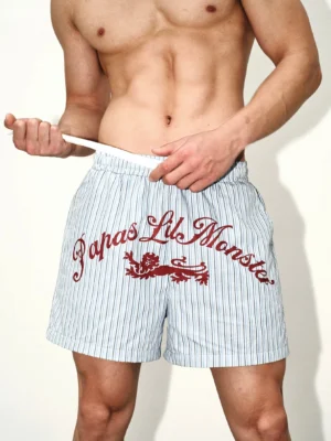 Close-up of blue and white pinstripe shorts with elastic drawstring waist red script graphic and lion print