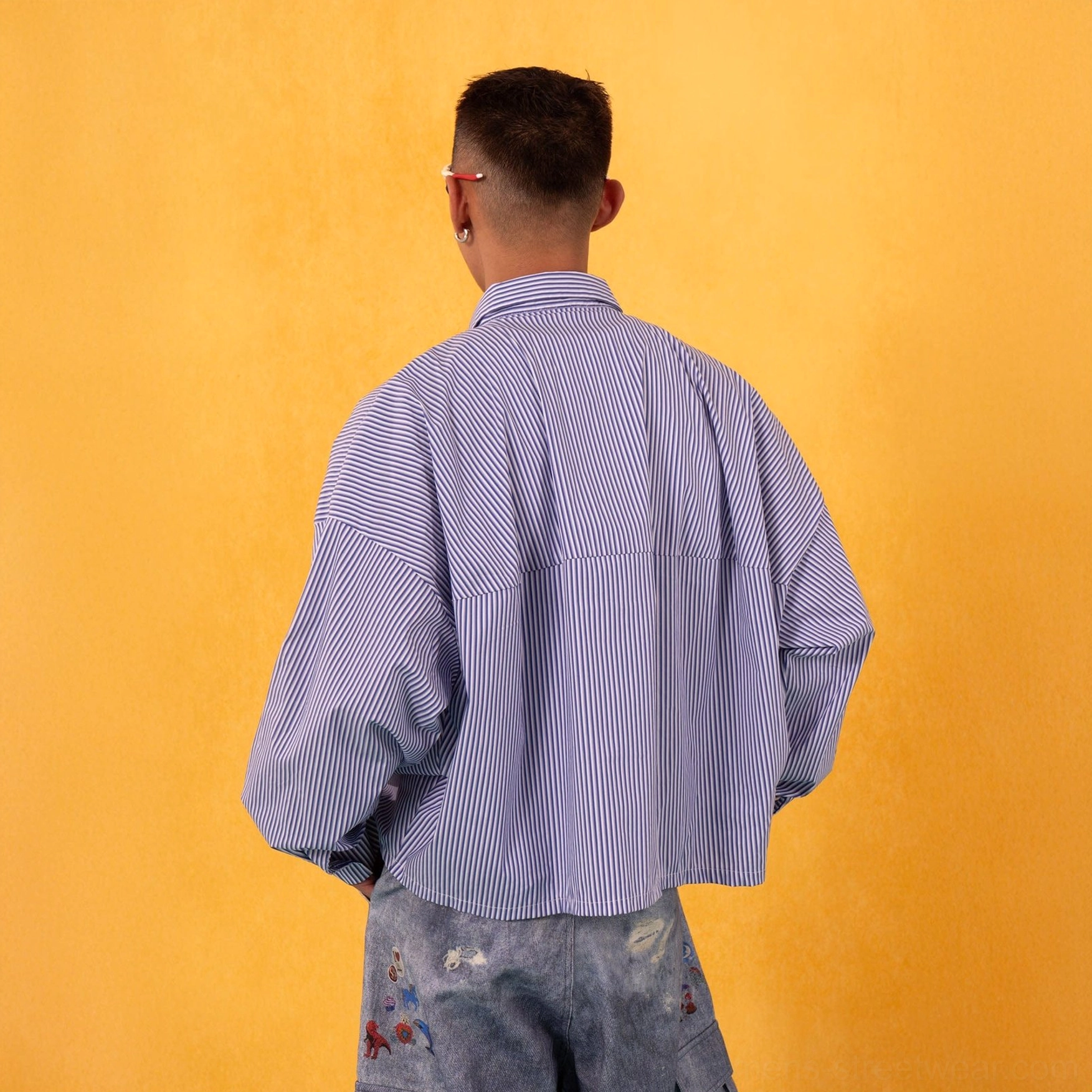 Blue and white pinstripe oversized poplin shirt shown from the back with a cropped boxy silhouette and relaxed sleeves